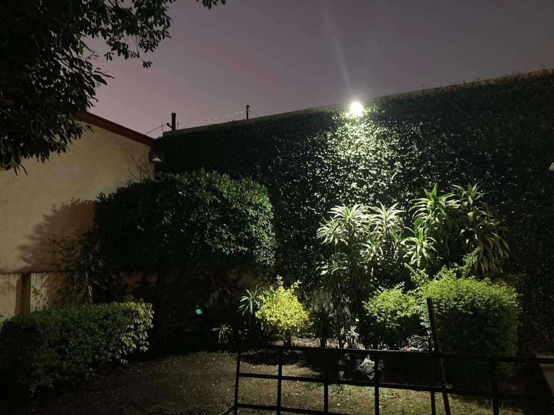 库埃纳瓦卡 Casa Maria Emilia酒店 外观 照片